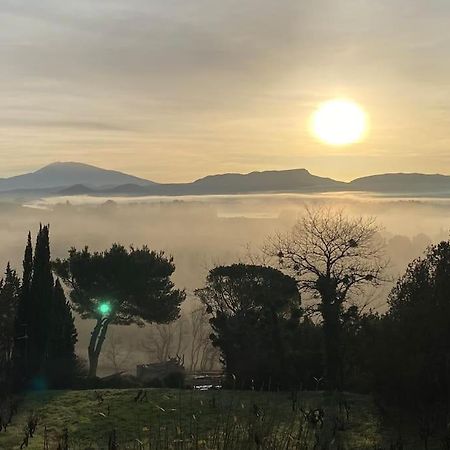 La Vue Sur Le Mont Ventoux, Appartement & Parking Cairanne Exterior photo